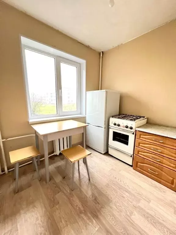 1-к кв. Ленинградская область, Волосовский район, Большеврудское ... - Фото 1