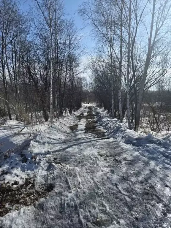 Участок в Хабаровский край, Хабаровский район, Тополевское с/пос, ... - Фото 2