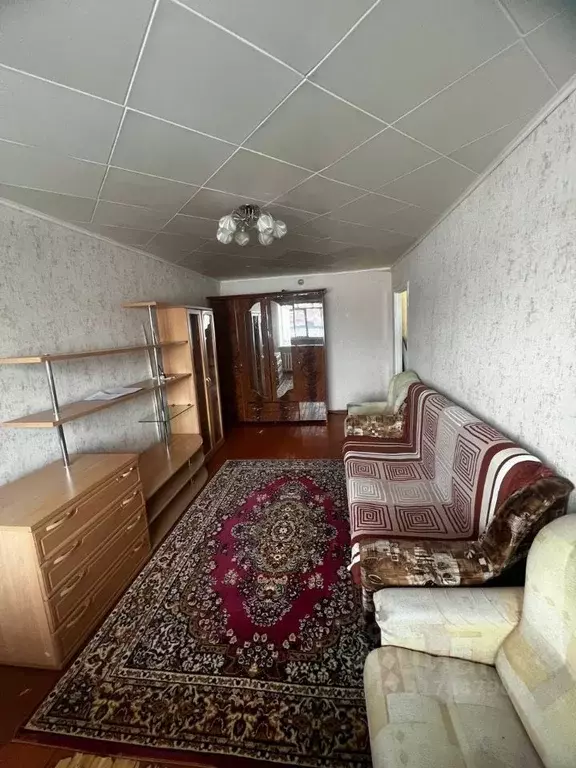 1-к кв. Курганская область, Курган ул. Кравченко, 49 (30.0 м) - Фото 0