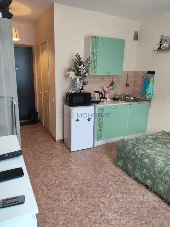 Студия Нижегородская область, Нижний Новгород Бурнаковская ул., 79 ... - Фото 2