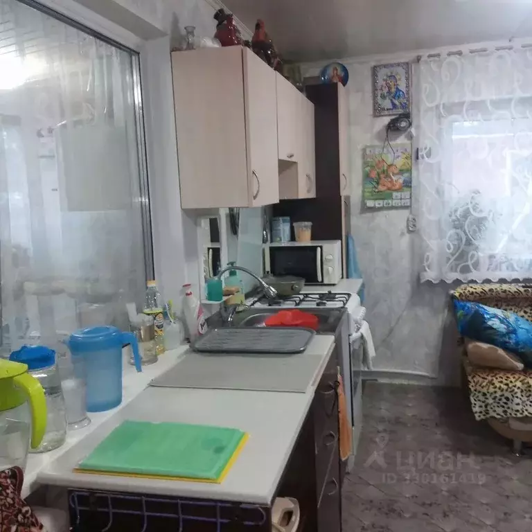 Дом в Омская область, Омск СОСН Дружба тер., аллея 6-я (53 м) - Фото 2