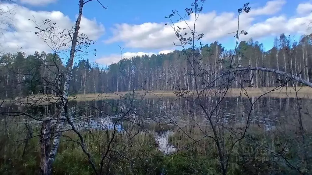 Участок в Ленинградская область, Выборгский район, Гончаровское с/пос, ... - Фото 2