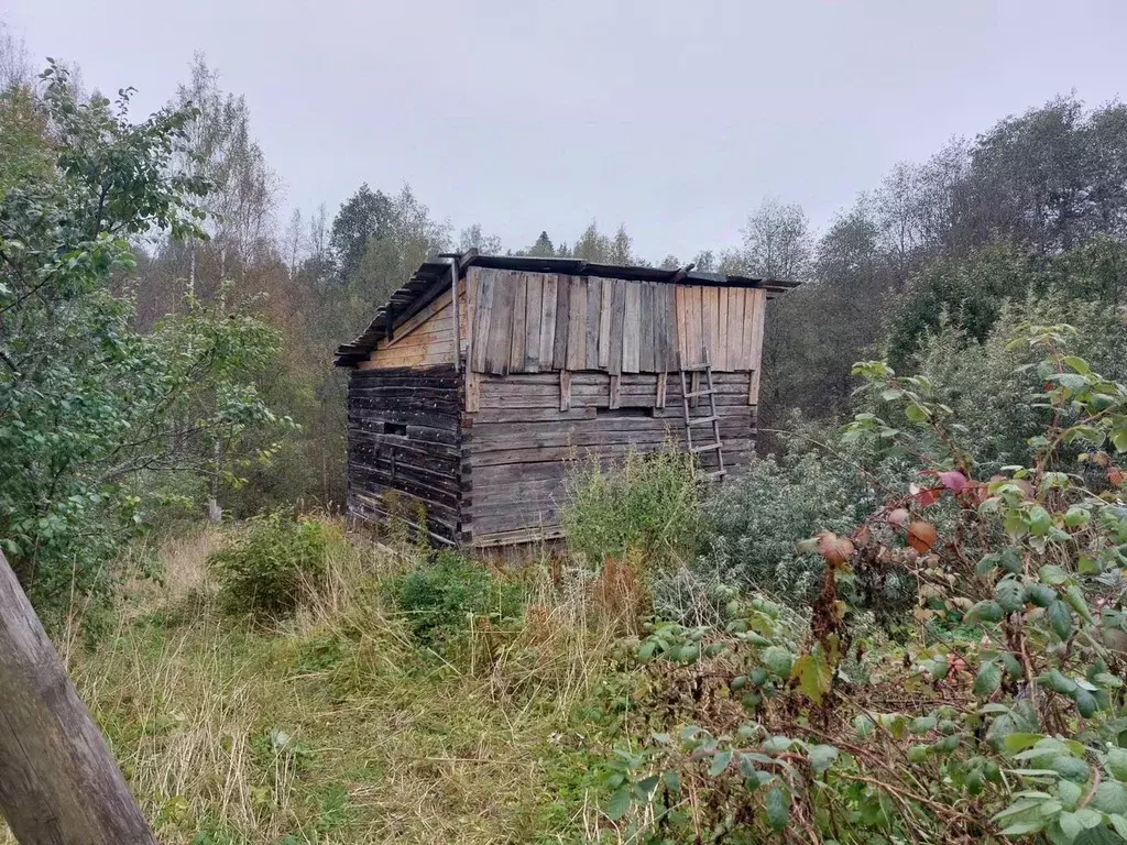 Участок в Ленинградская область, Приозерский район, пос. Сосново пер. ... - Фото 1