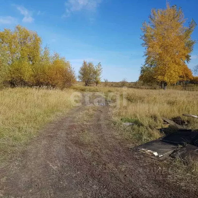 Участок в Тюменская область, Тюменский муниципальный округ, д. ... - Фото 1