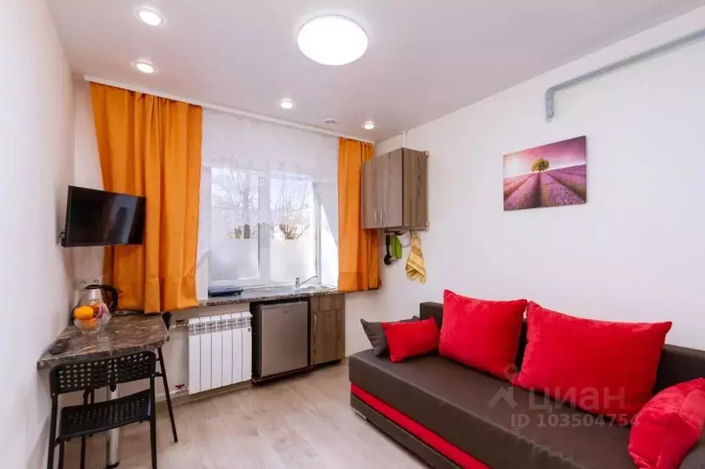 Студия Новосибирская область, Новосибирск Космическая ул., 14 (18.0 м) - Фото 1