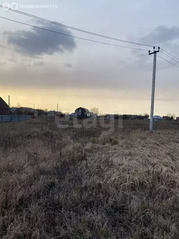 Участок в Липецкая область, Добровский муниципальный округ, село ... - Фото 2