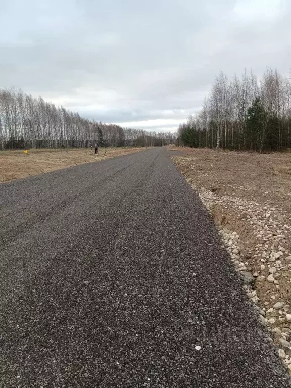 Участок в Тверская область, Конаковский муниципальный округ, Волжские ... - Фото 2