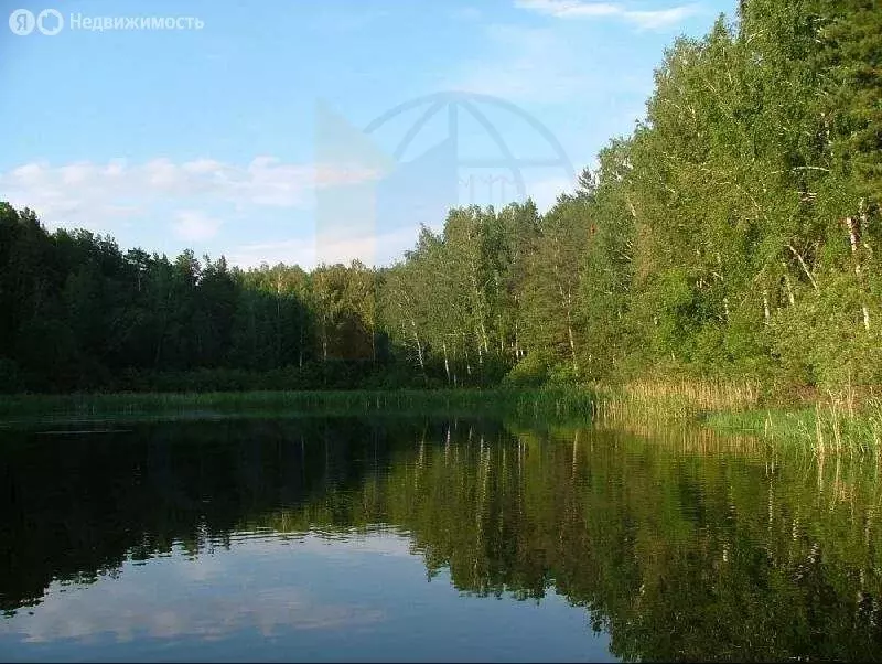 Участок в Ордынский район, Новошарапский сельсовет (63286 м) - Фото 2