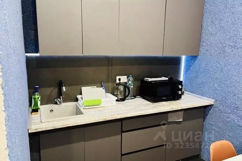 1-к кв. Санкт-Петербург Шпалерная ул., 9 (29.0 м) - Фото 2