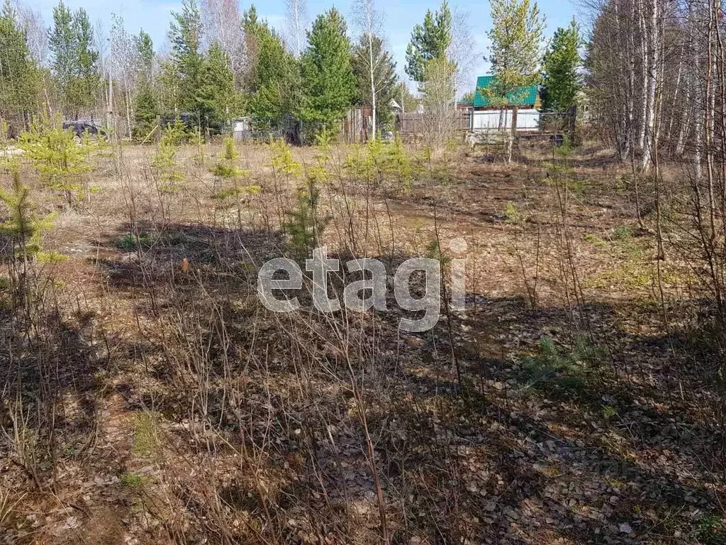 Участок в Ханты-Мансийский АО, Нижневартовск Семь Я ДНТ, 5 (11.94 ... - Фото 0