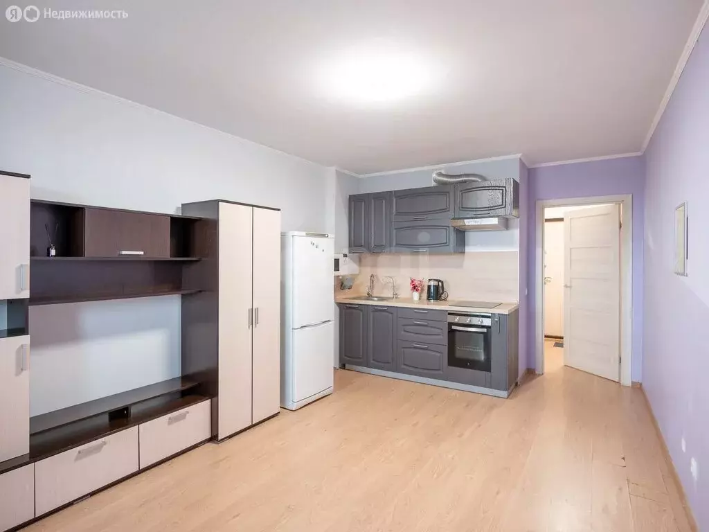 Квартира-студия: Санкт-Петербург, проспект Энергетиков, 9к3 (25 м) - Фото 1