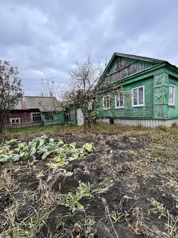 Дом в Пензенская область, с. Бессоновка ул. Комсомольская, 93 (50 м) - Фото 1