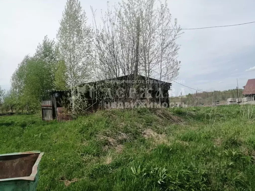 Участок в Кемеровская область, Кемеровский район, с. Барановка Полевая ... - Фото 1