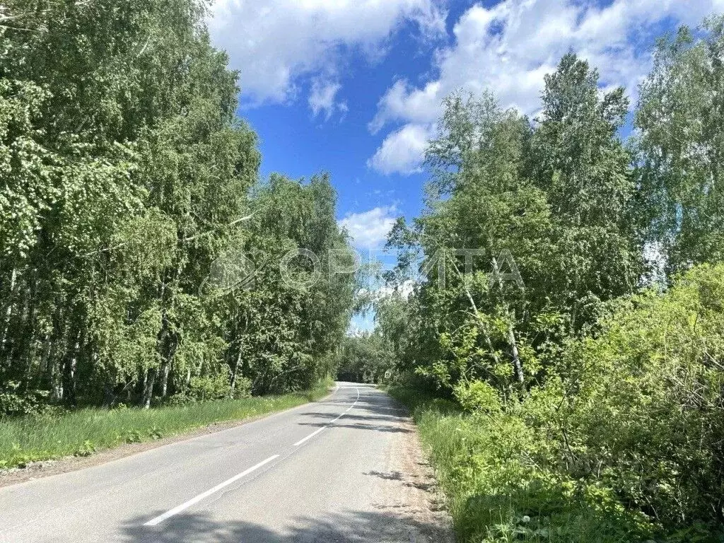 Участок в Тюменская область, Нижнетавдинский муниципальный округ, ... - Фото 1