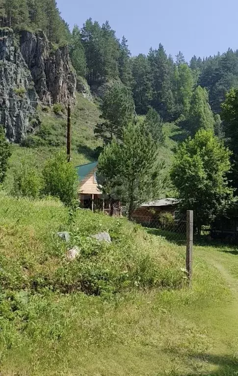 Участок в Алтай, Майминский район Р-256 Чуйский тракт, 487-й км (20.9 ... - Фото 1