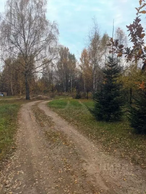 Дом в Ивановская область, Ивановский муниципальный округ, д. Заречье 6 ... - Фото 2