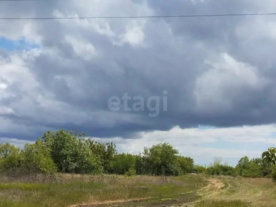 Участок в Крым, Кировский район, Синицынское с/пос, с. Васильковое ул. ... - Фото 1