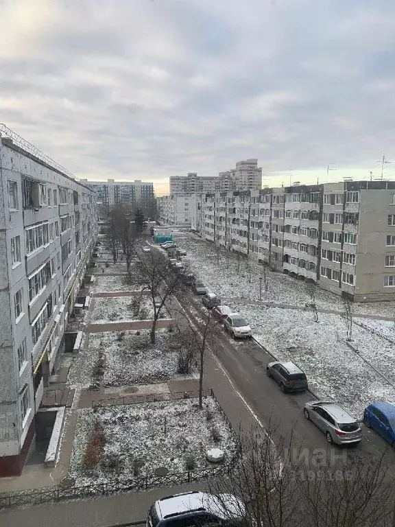 Комната Ленинградская область, Тосно г. Тосненский район, Тосненское ... - Фото 0