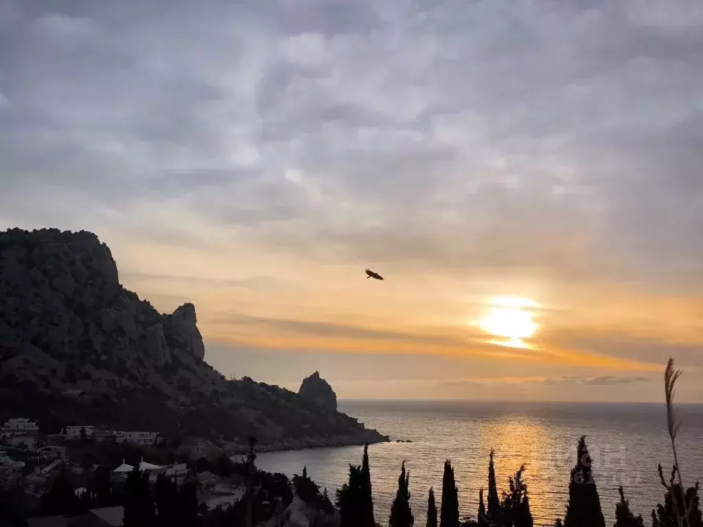 Дом в Крым, Ялта муниципальный округ, Симеиз пгт ул. Советская, 82 (56 ... - Фото 1