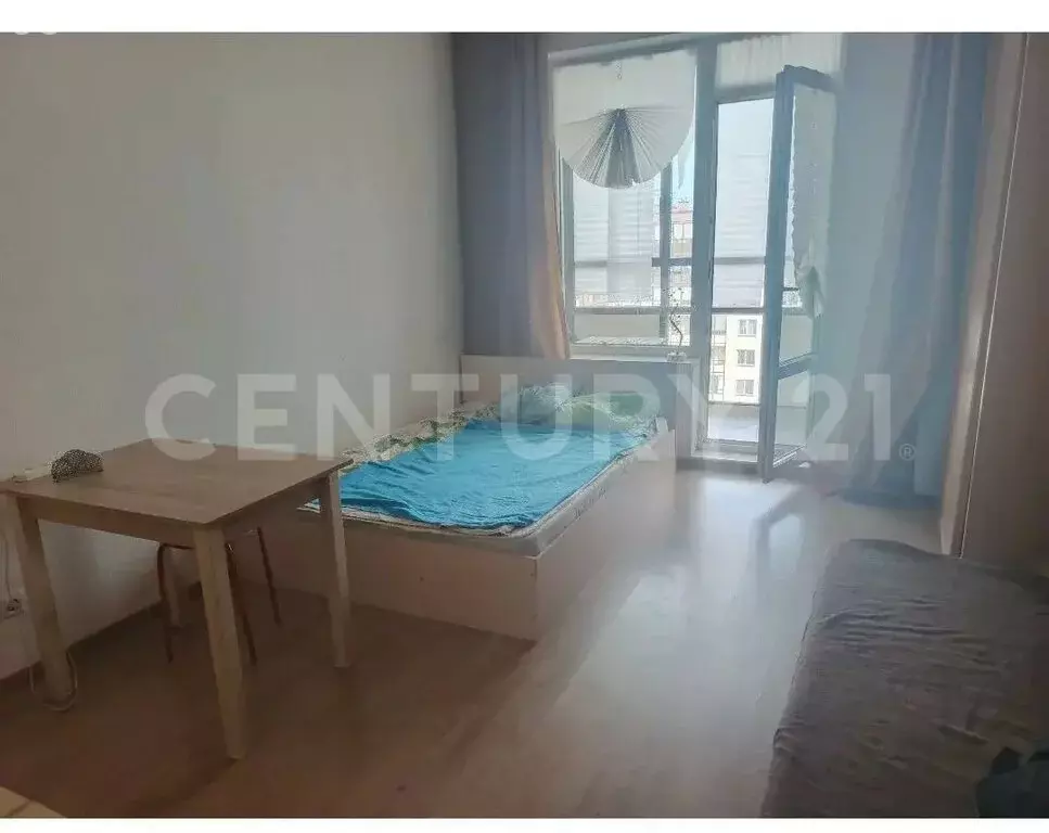 Квартира-студия: Санкт-Петербург, проспект Ветеранов, 169к2 (24 м) - Фото 2