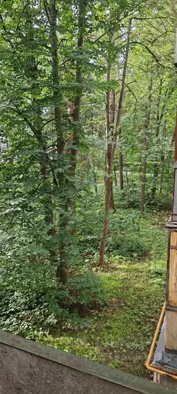 2-к кв. Московская область, Солнечногорск городской округ, Андреевка ... - Фото 0