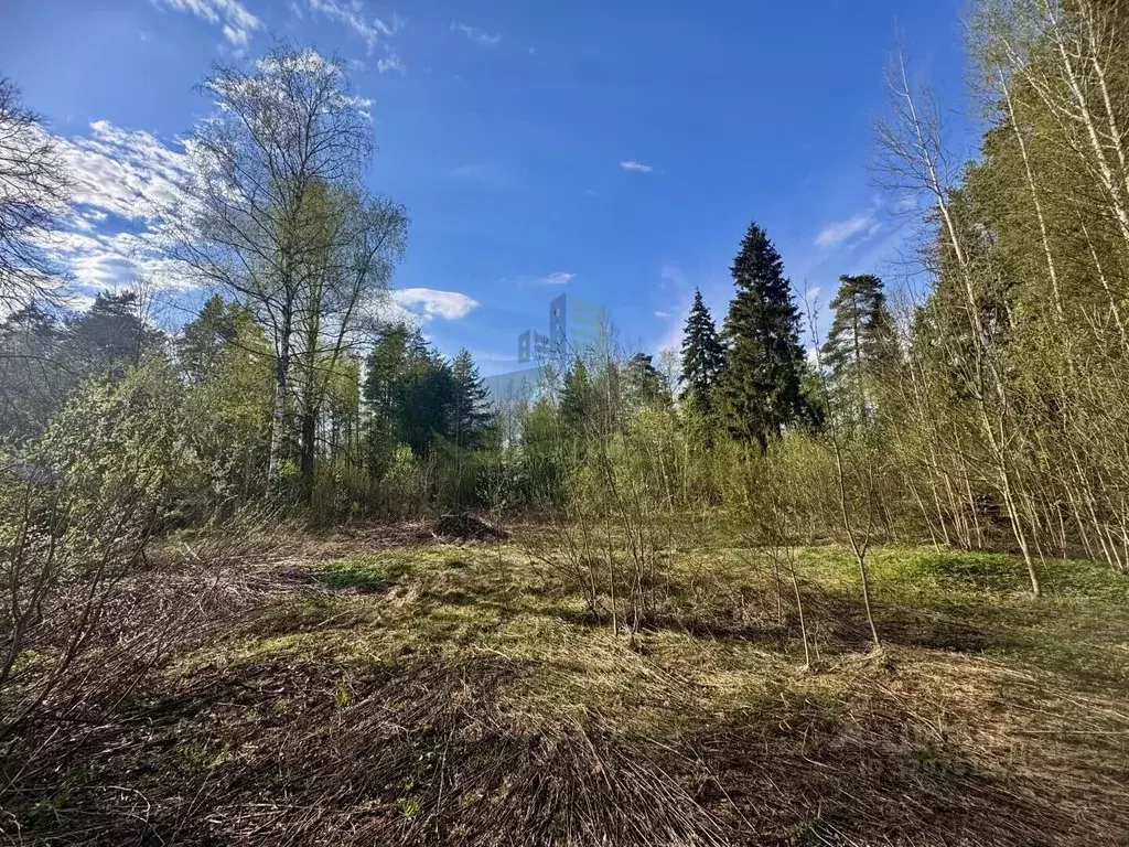 Участок в Московская область, Раменский муниципальный округ, Кратово ... - Фото 1
