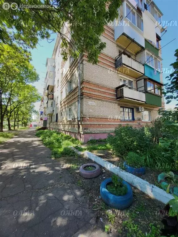 3-комнатная квартира: Биробиджан, микрорайон Сопка, улица Карла ... - Фото 1