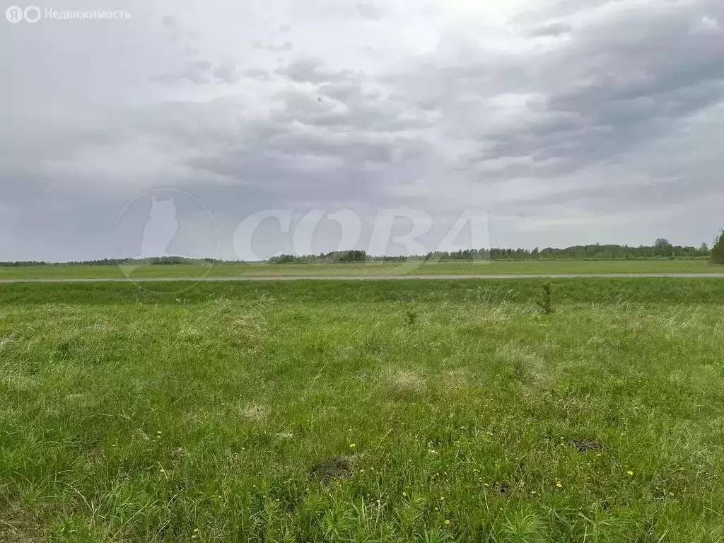 Участок в Тюменский район, Винзилинское муниципальное образование (4 ... - Фото 1
