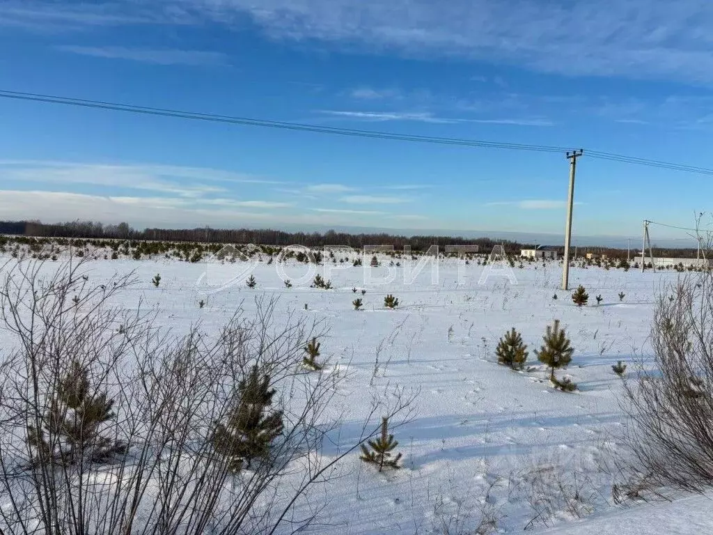 Участок в Тюменская область, Тюменский район, с. Кулига, Кулига-2 мкр  ... - Фото 1