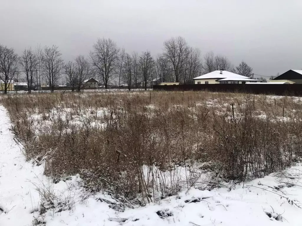 Участок в Ленинградская область, Лужский район, Скребловское с/пос, д. ... - Фото 1