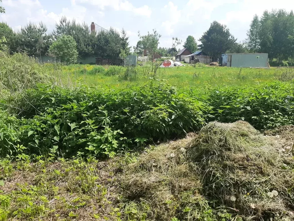 Участок в Тверская область, Конаковский муниципальный округ, д. ... - Фото 2