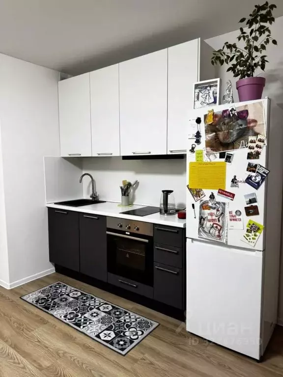 Студия Московская область, Люберцы городской округ, Жилино-1 пгт, 2-й ... - Фото 1