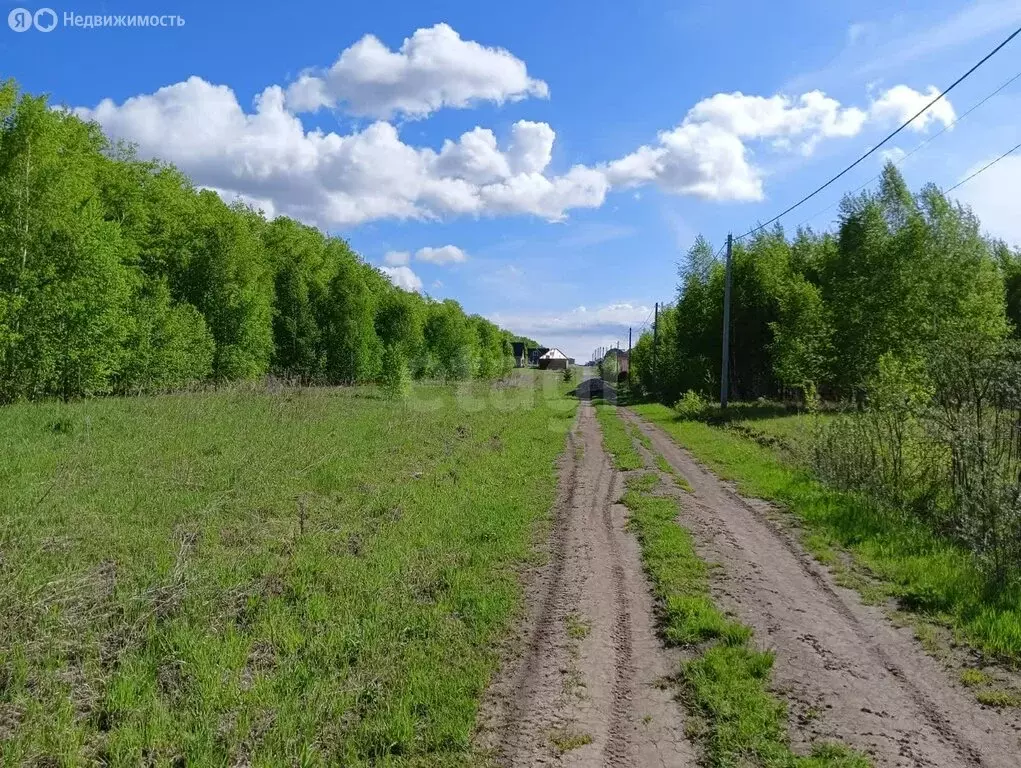 Участок в село Ленинское, СНТ Посёлок Новониколаевский, Солнечная ... - Фото 1
