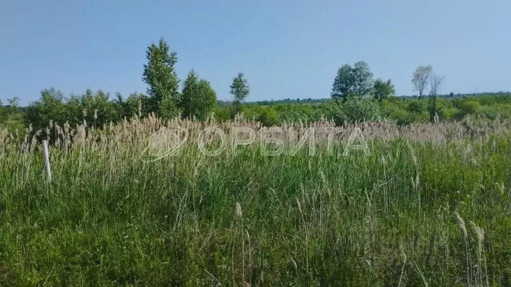 Участок в Тюменская область, Тюменский район, д. Якуши ул. Звездная ... - Фото 2