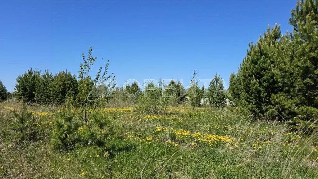 Участок в Тюменская область, Тюменский район, д. Зубарева Центральная ... - Фото 1