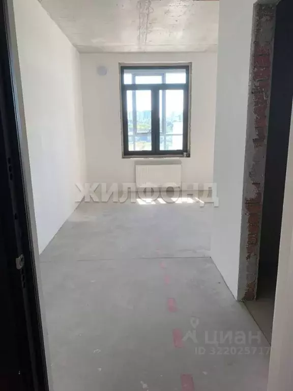 1-к кв. Новосибирская область, Новосибирск ул. Фрунзе, 220 (29.4 м) - Фото 1