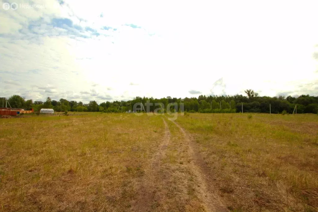 Участок в Тюменская область, Ярковский муниципальный округ, село ... - Фото 2