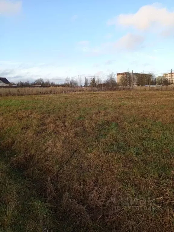 Участок в Ленинградская область, Гатчинский муниципальный округ, пос. ... - Фото 2