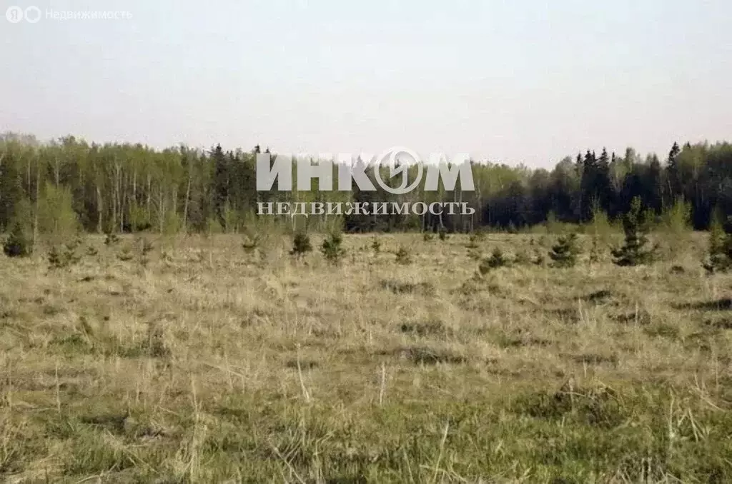 Участок в Московская область, городской округ Клин, деревня Жестоки, ... - Фото 1