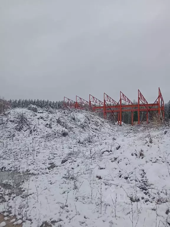 Производственное помещение в Нижегородская область, Богородск ш. ... - Фото 2