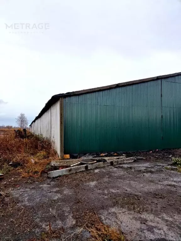 Склад в Новосибирская область, Новосибирский район, с. Боровое ул. ... - Фото 2