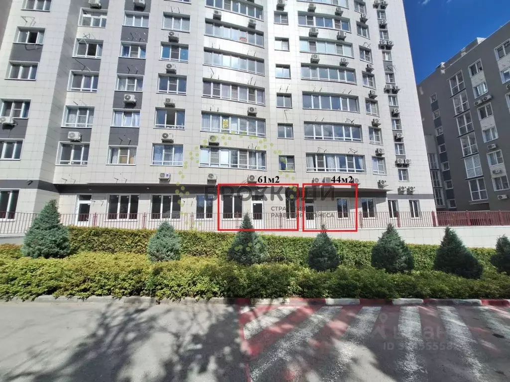 Помещение свободного назначения в Ростовская область, Ростов-на-Дону ... - Фото 1