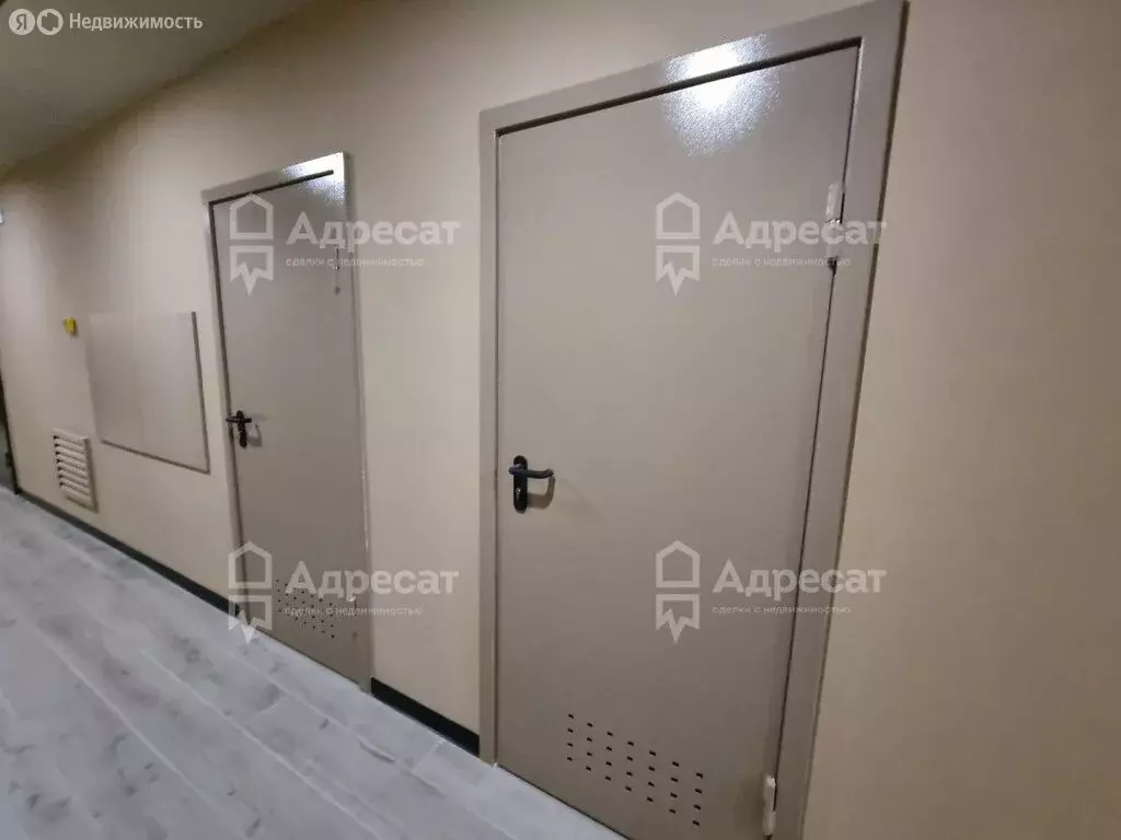 Помещение свободного назначения (4.2 м) - Фото 2