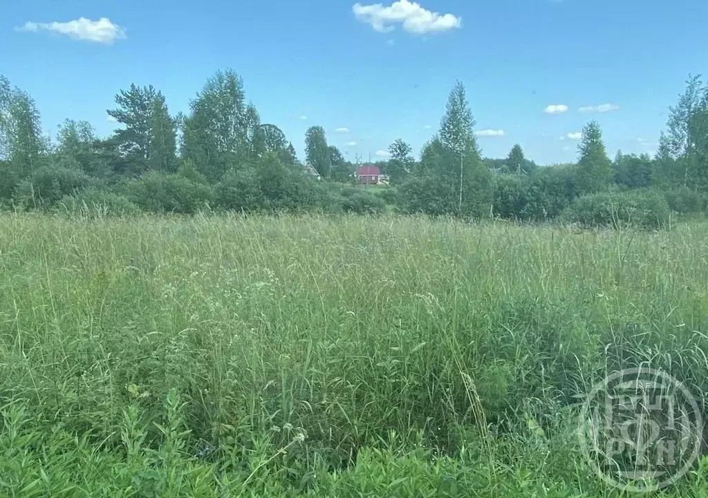 Участок в Псковская область, Плюсский муниципальный округ, д. Вяжище-1 ... - Фото 1