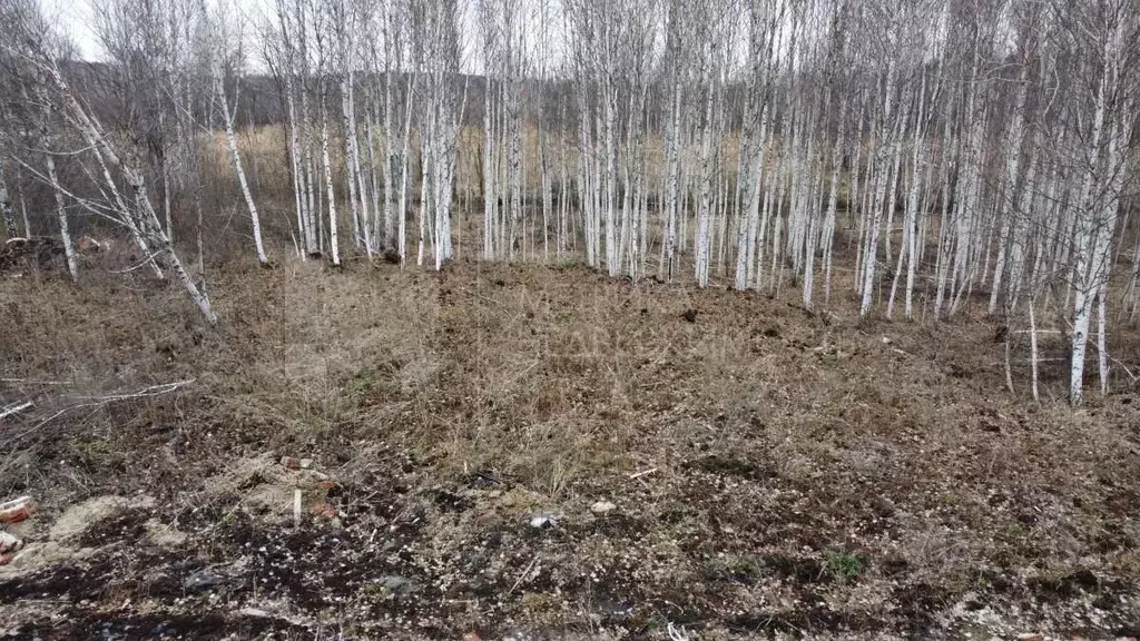 Участок в Тюменская область, Нижнетавдинский муниципальный округ, ... - Фото 2