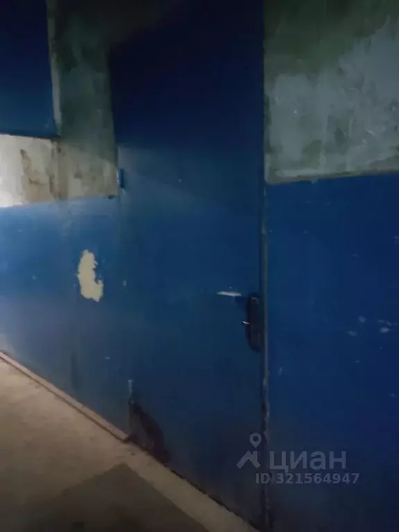 Помещение свободного назначения в Нижегородская область, Заволжье г. ... - Фото 0