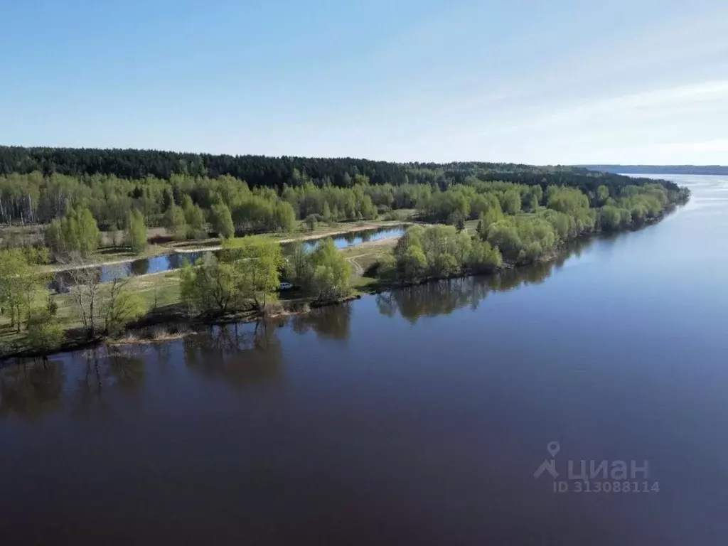 Участок в Ивановская область, Заволжск  (1220.4 сот.) - Фото 1