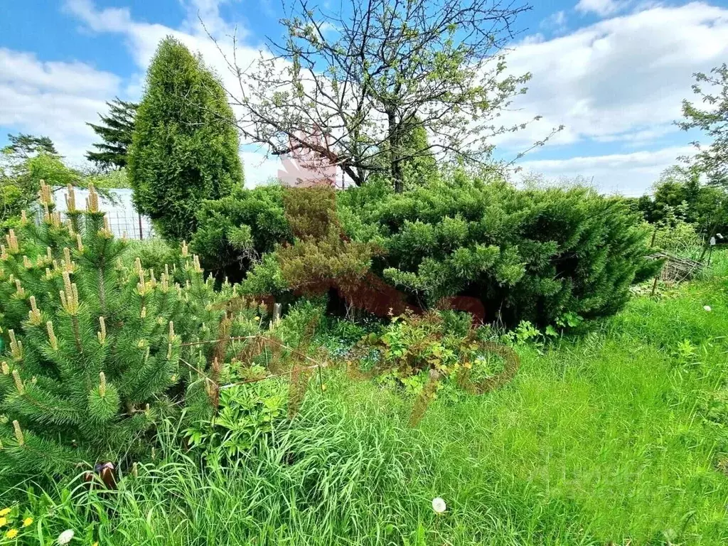 Дом в Орловская область, Орел Заводской пер., 3 (30 м) - Фото 1