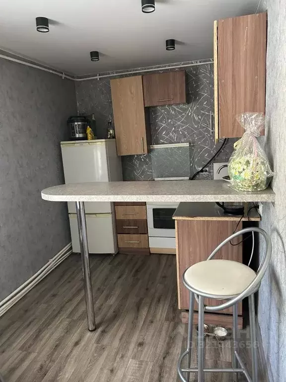 Дом в Алтайский край, Барнаул Проездная ул., 58 (64 м) - Фото 1