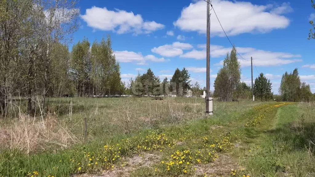Участок в Томская область, Томск Ветеран садовое товарищество,  (15.5 ... - Фото 2